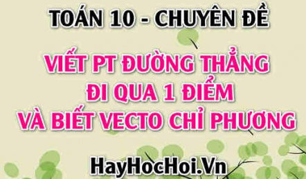 Cách viết phương trình đường thẳng đi qua 1 điểm có vectơ chỉ phương u - Toán 10 chuyên đề